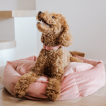 Dog bed PEONY - Image 4