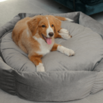 Dog bed CLOUD - Image 4