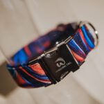 Collar AQUARIUS
