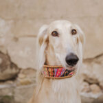 Collar ISTANBUL - Image 5
