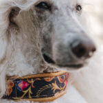 Collar ISTANBUL - Image 6