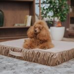Dog bed MACCHIATO
