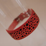 Collar Polkadot - Image 4
