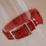 Collar Polkadot - Image 5