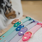Collar PEANUT - Image 2