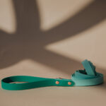 Leash PISTACHIO