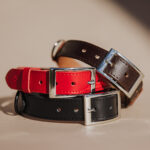 Collar ELDERBERRY - Image 3