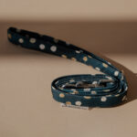 Leash CETUS