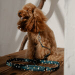 Collar MILAN - Image 4