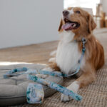 Collar APUS - Image 2