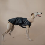 Coat LONDON