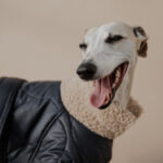 Coat LONDON - Image 3