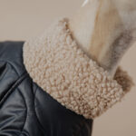 Coat LONDON - Image 4
