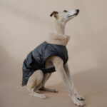 Coat LONDON - Image 2