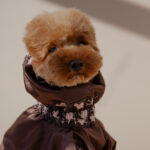 Snood STASIUKAS