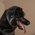 Snood BACARDI