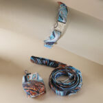 Set ORION