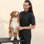 Grooming uniform CHLOE - Image 5