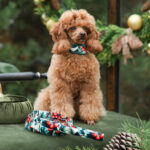 Collar NOEL BERRY - Image 3