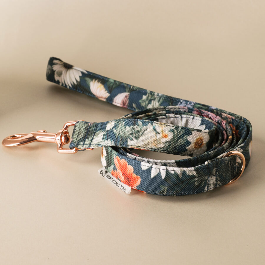Set NARA - Image 4