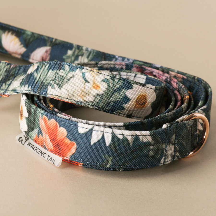 Leash NARA - Image 2