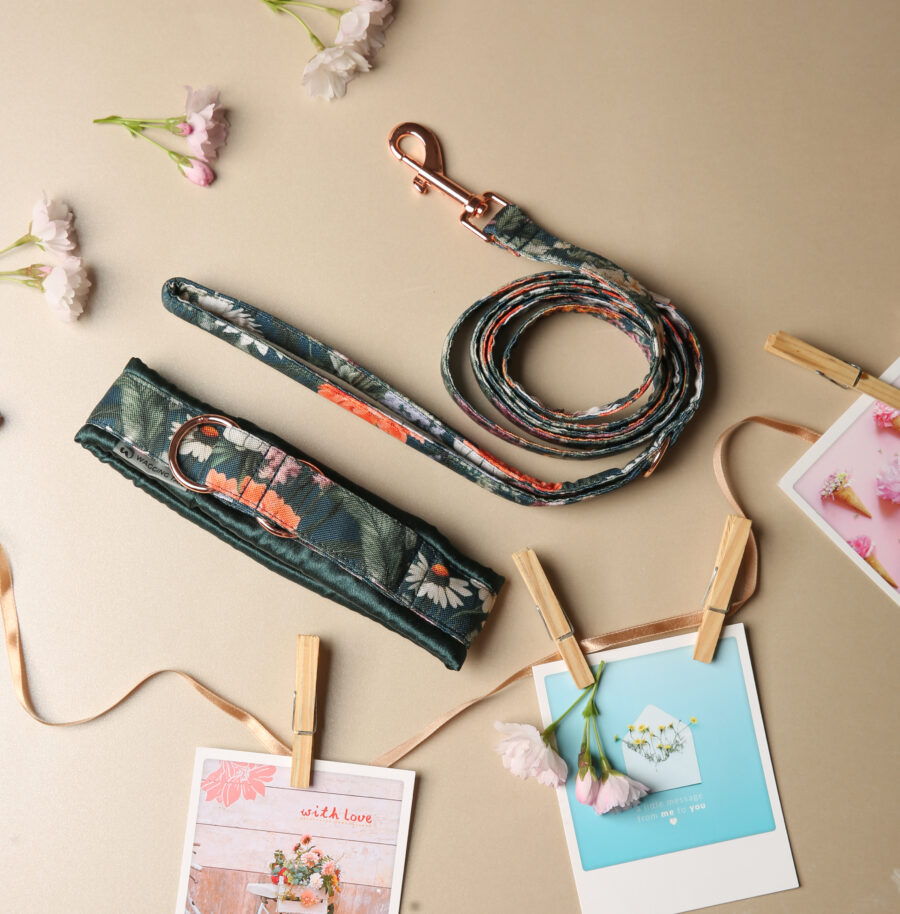 Set NARA - Image 5