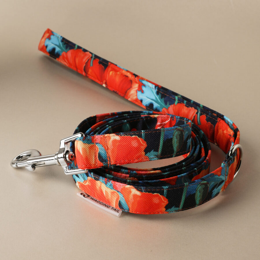Leash SEVILLE