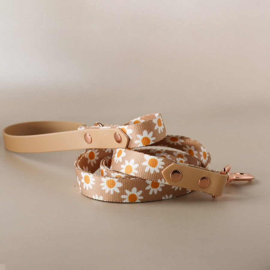 Leash FLORENCE