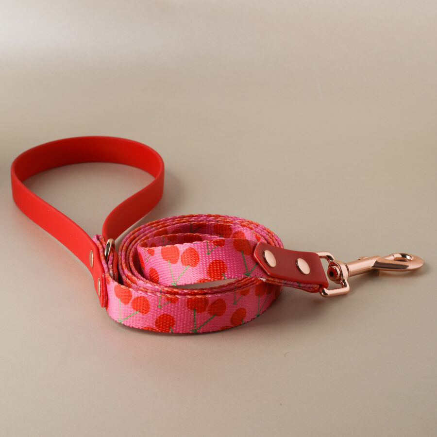 Leash NAGOYA