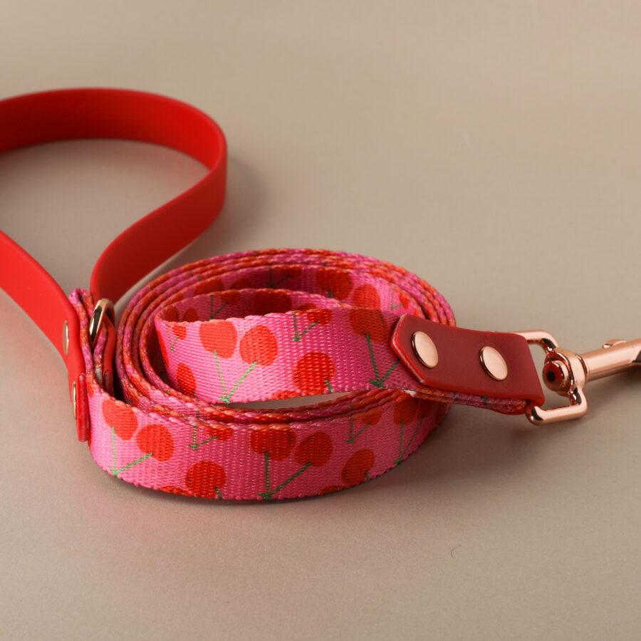 Leash NAGOYA - Image 2