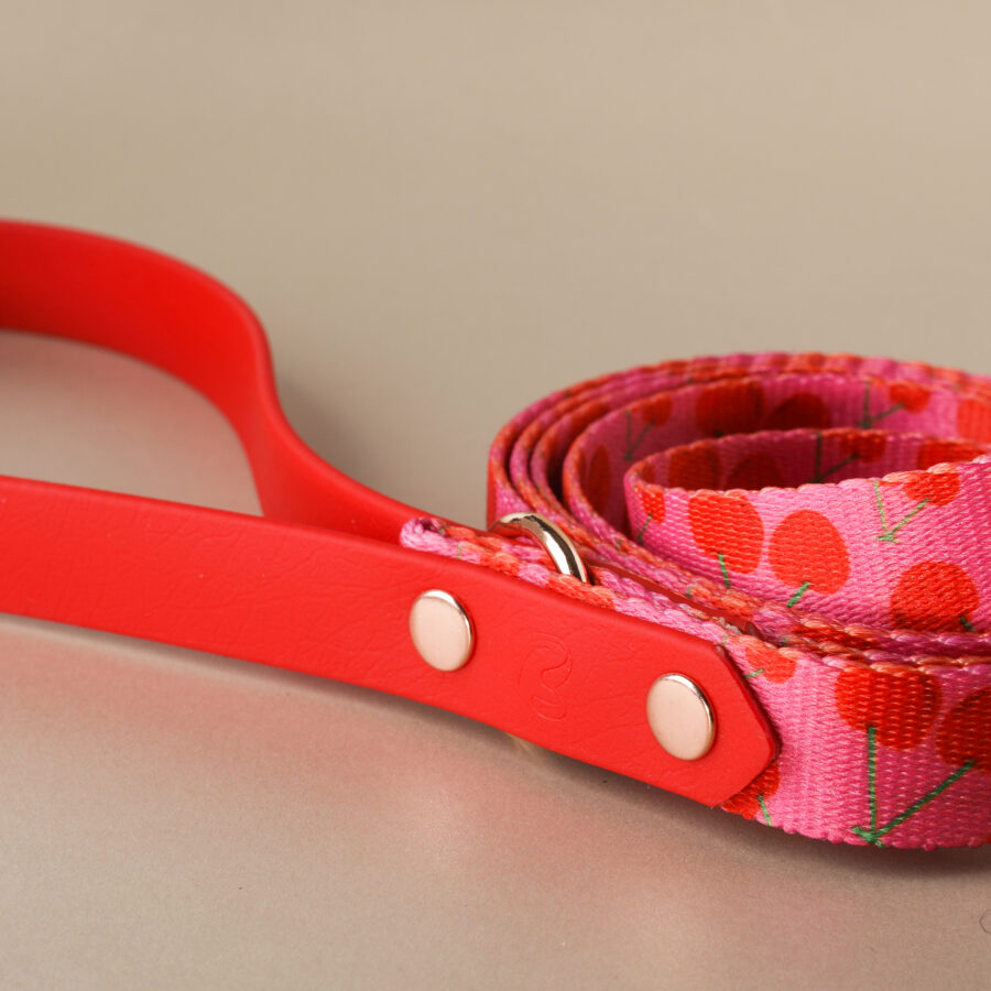 Leash NAGOYA - Image 3
