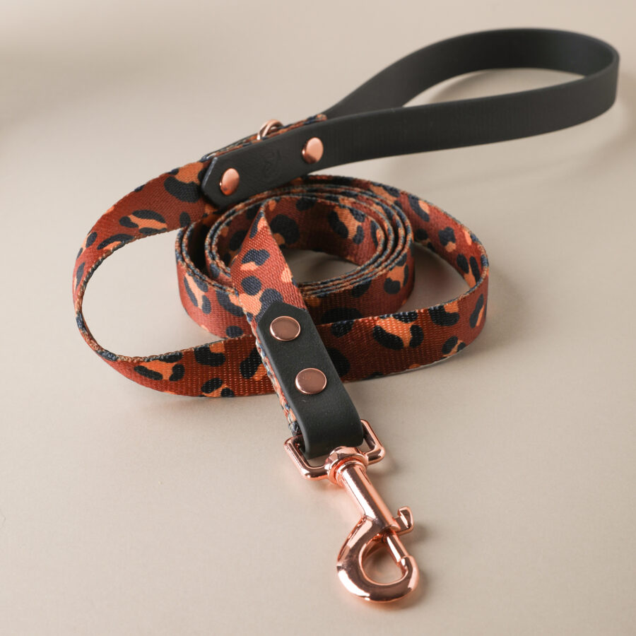 Leash CAIRO