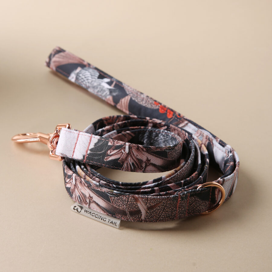 Leash NIKKO