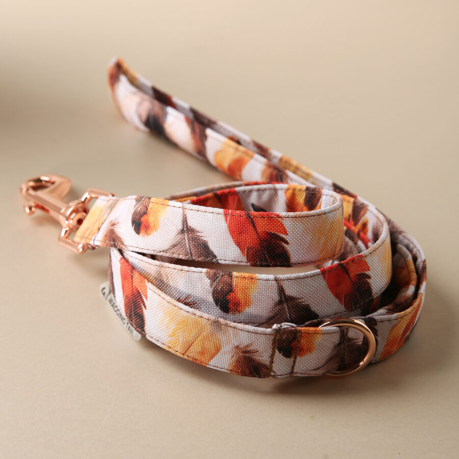 Leash LUCCA