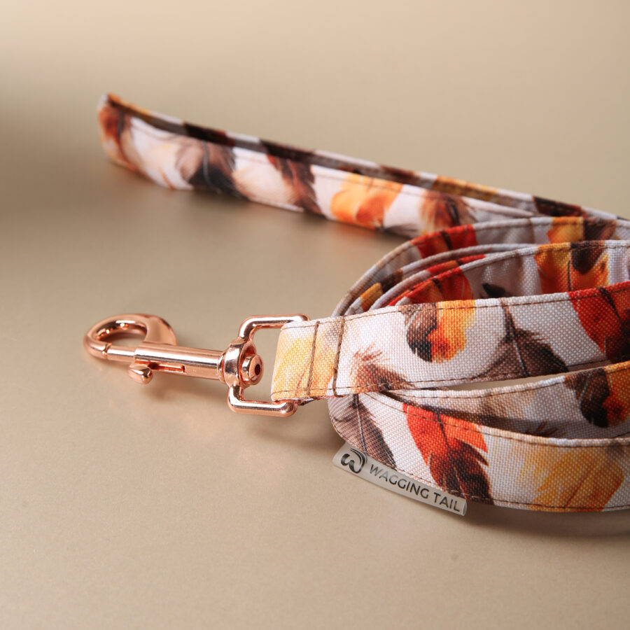 Leash LUCCA - Image 2