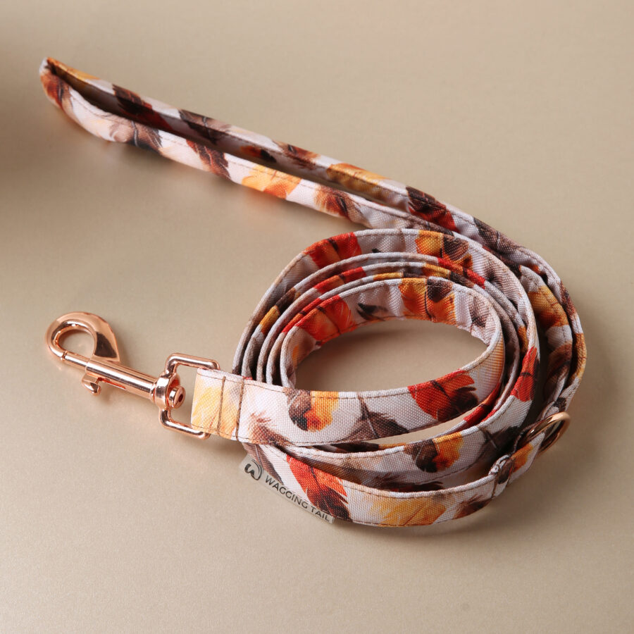 Leash LUCCA - Image 3