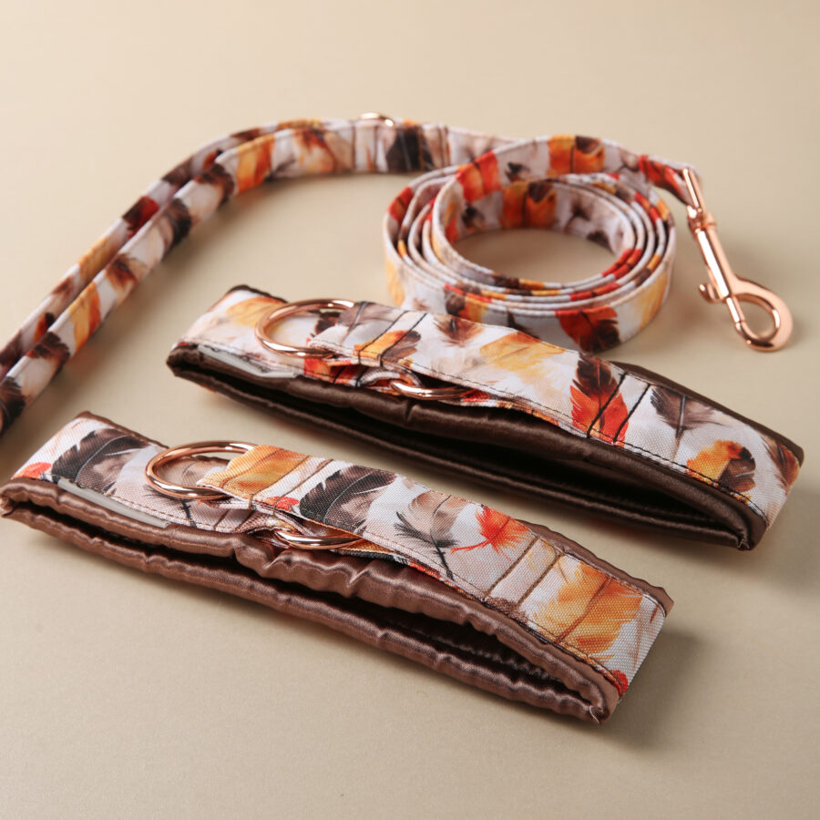 Leash LUCCA - Image 4